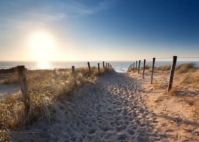 Sunny Dunes